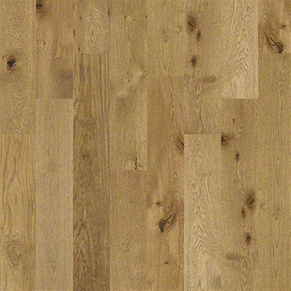 Buckingham Oak in Tallow Hardwood