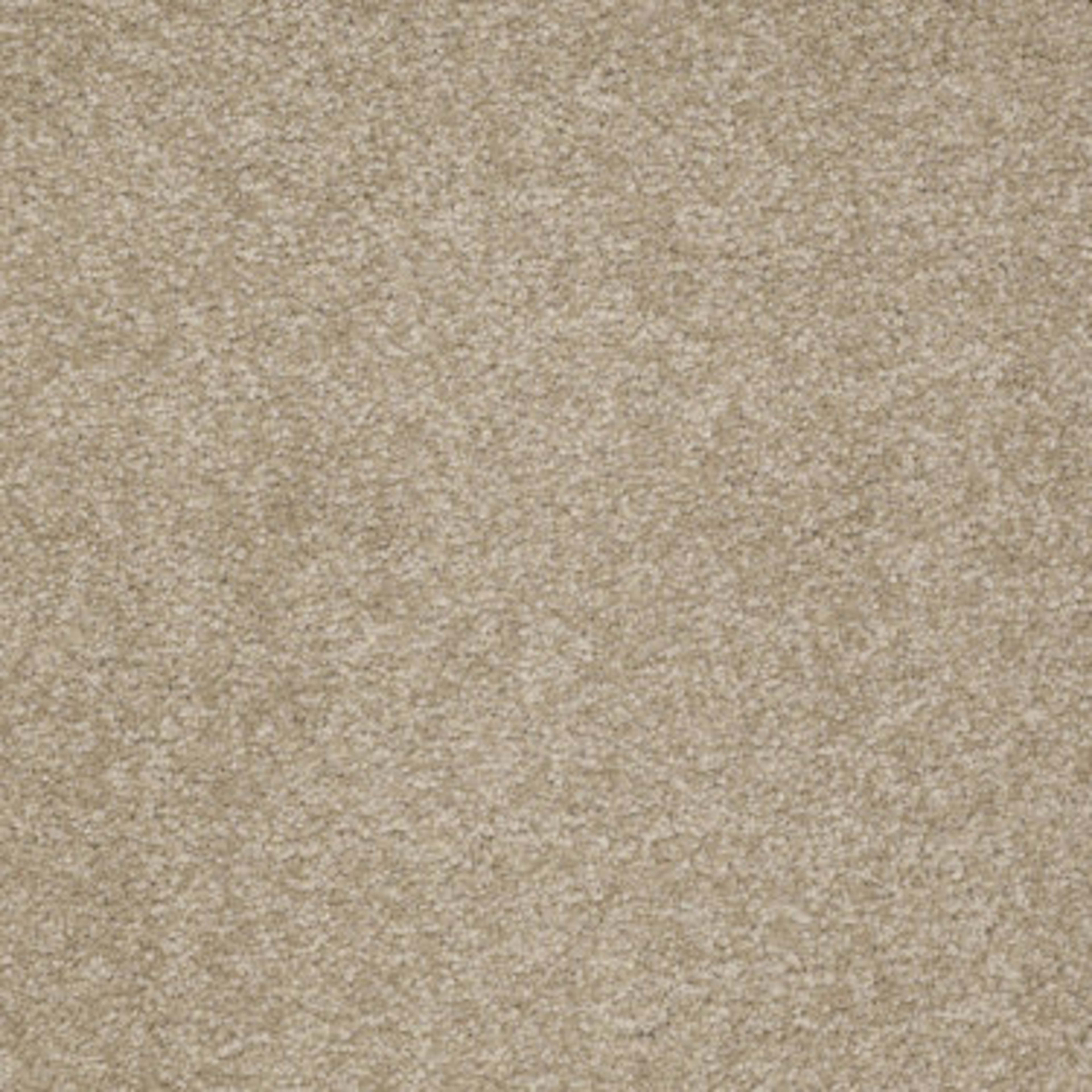 Ultimate Expression 12' in Sahara Carpet