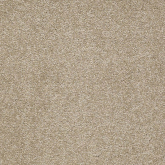 Ultimate Expression 12' in Sahara Carpet