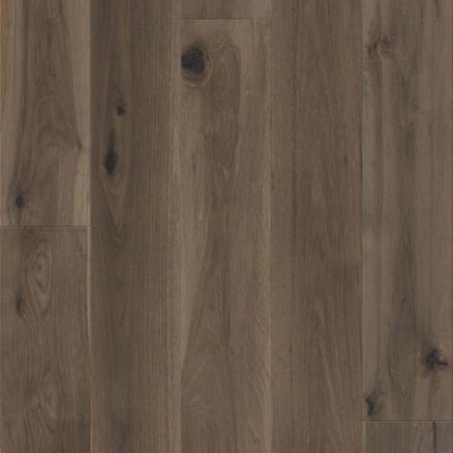 TRANSCENDENCE in Elevation Hardwood