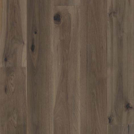 TRANSCENDENCE in Elevation Hardwood