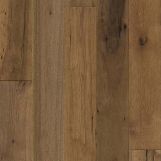 TRANSCENDENCE in Inherent Hardwood