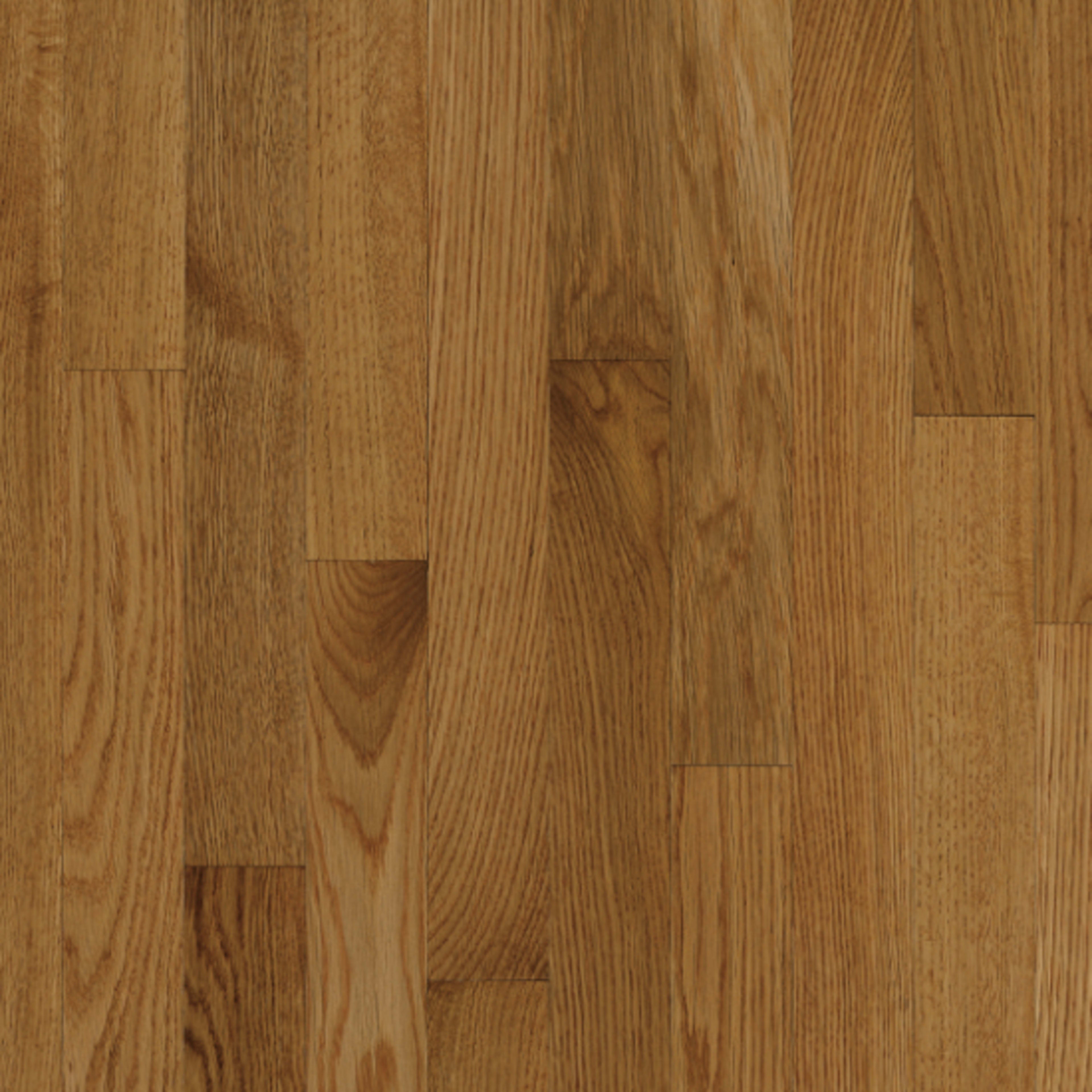 Natural Choice White Oak Solid in Spice 2-1/4" Hardwood