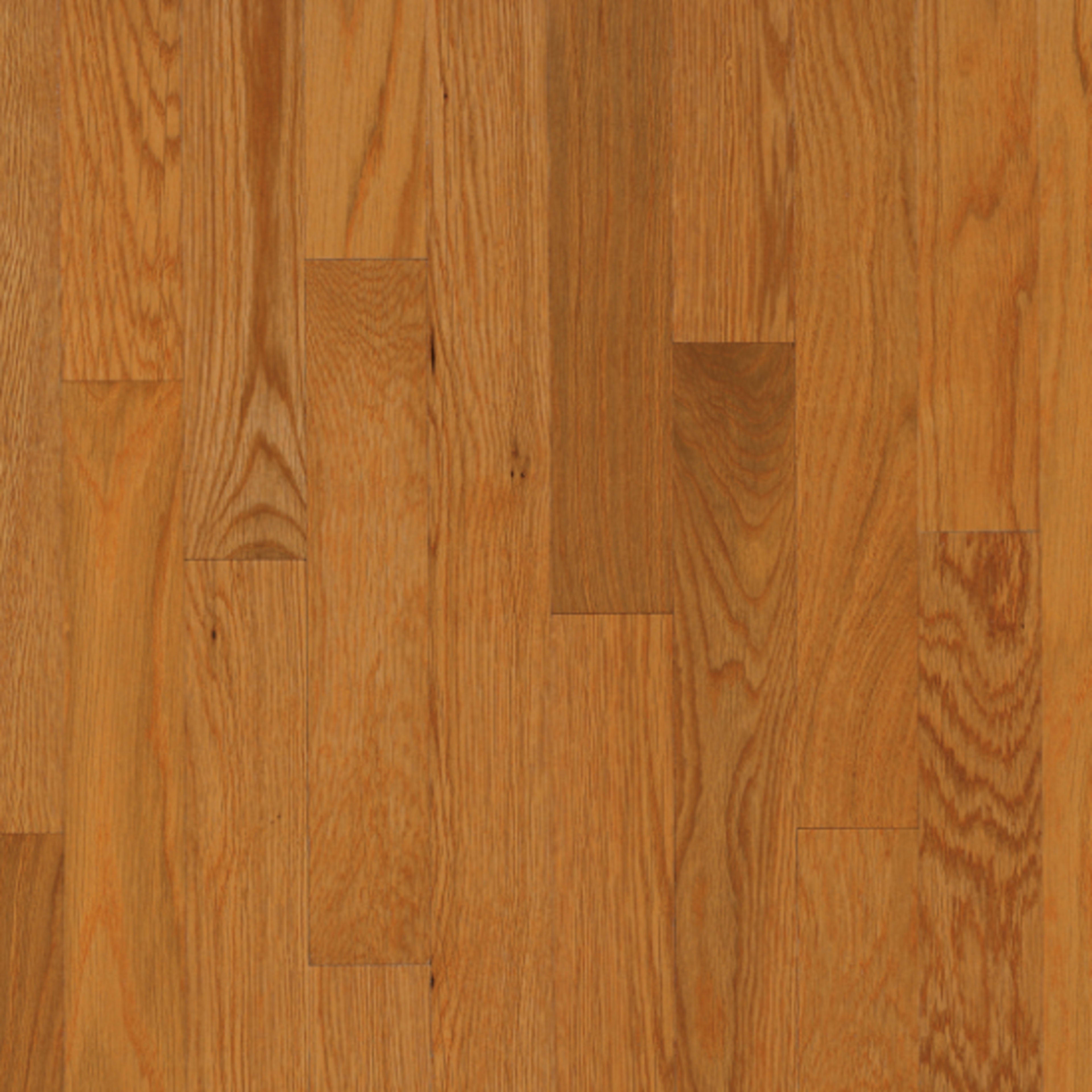 Natural Choice White Oak Solid in Butter Rum 2-1/4" Hardwood