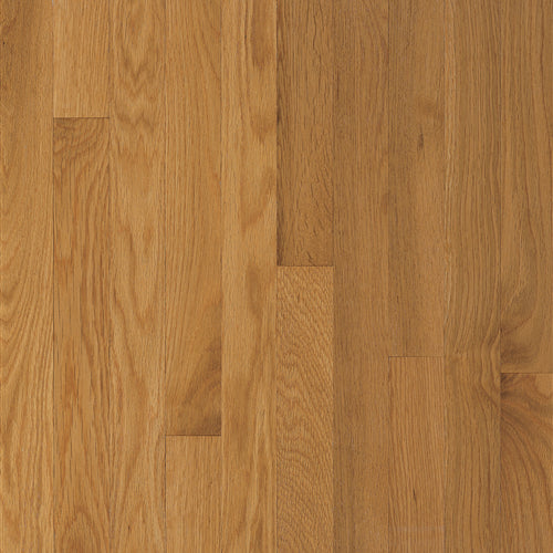 Waltham White Oak Solid in Cornsilk 2-1/4" Hardwood