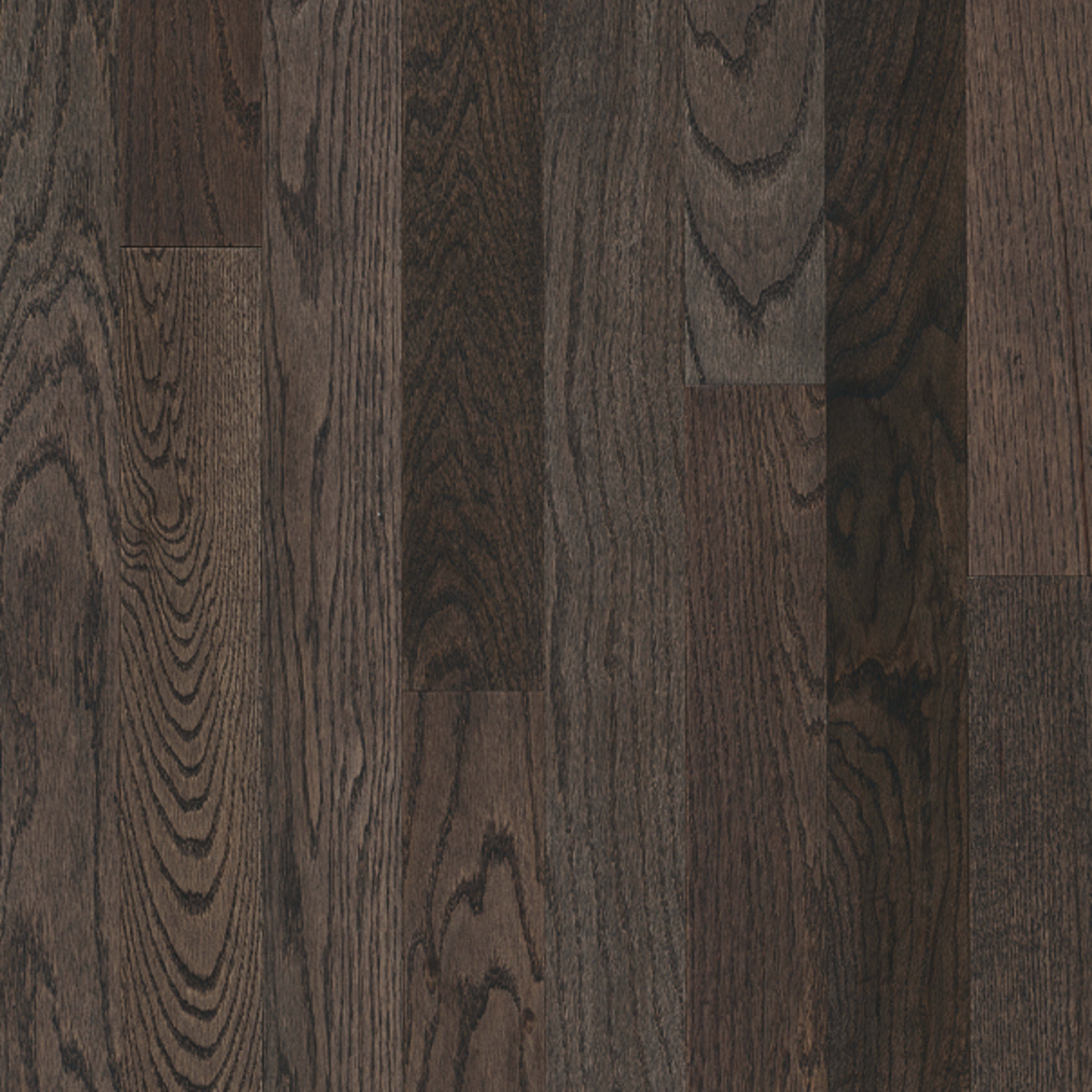 Waltham Red Oak Solid in Pewter 3-1/4" Hardwood