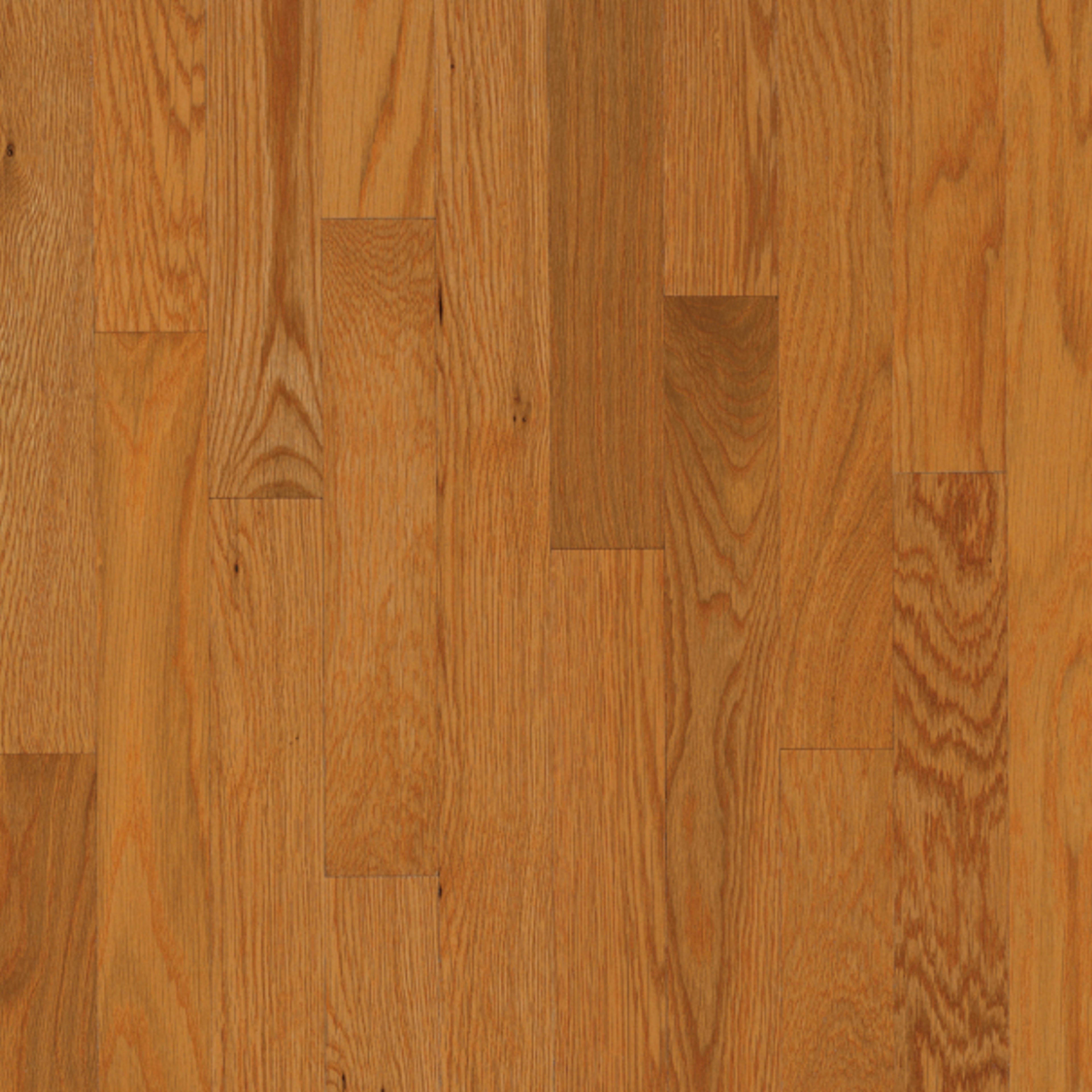 Dundee White Oak Solid in Butterrum 2-1/4" Hardwood