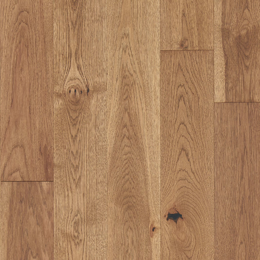 Latitude Collection - Forest Park in Sunbeam Hardwood