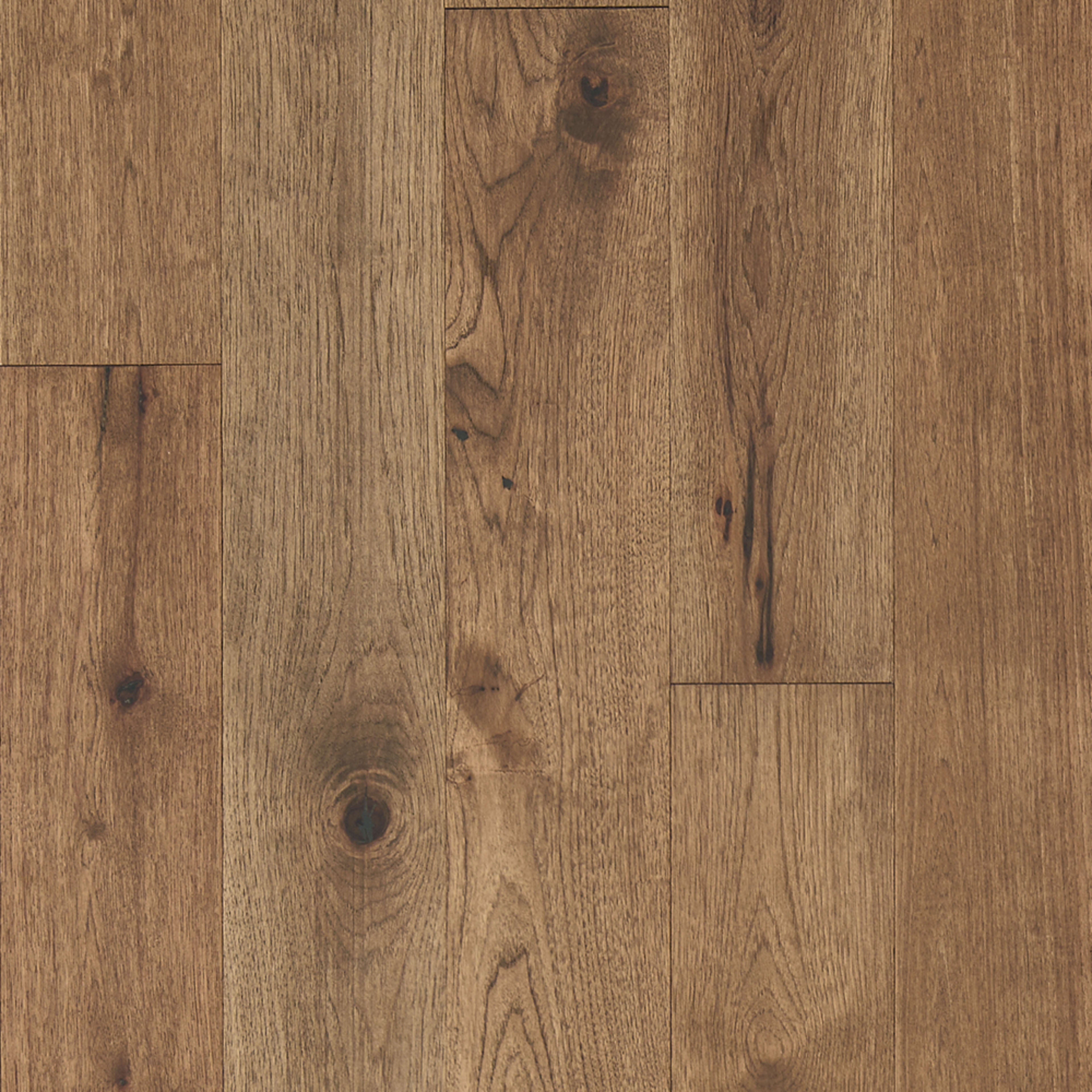 Latitude Collection - Forest Park in Trail Hardwood