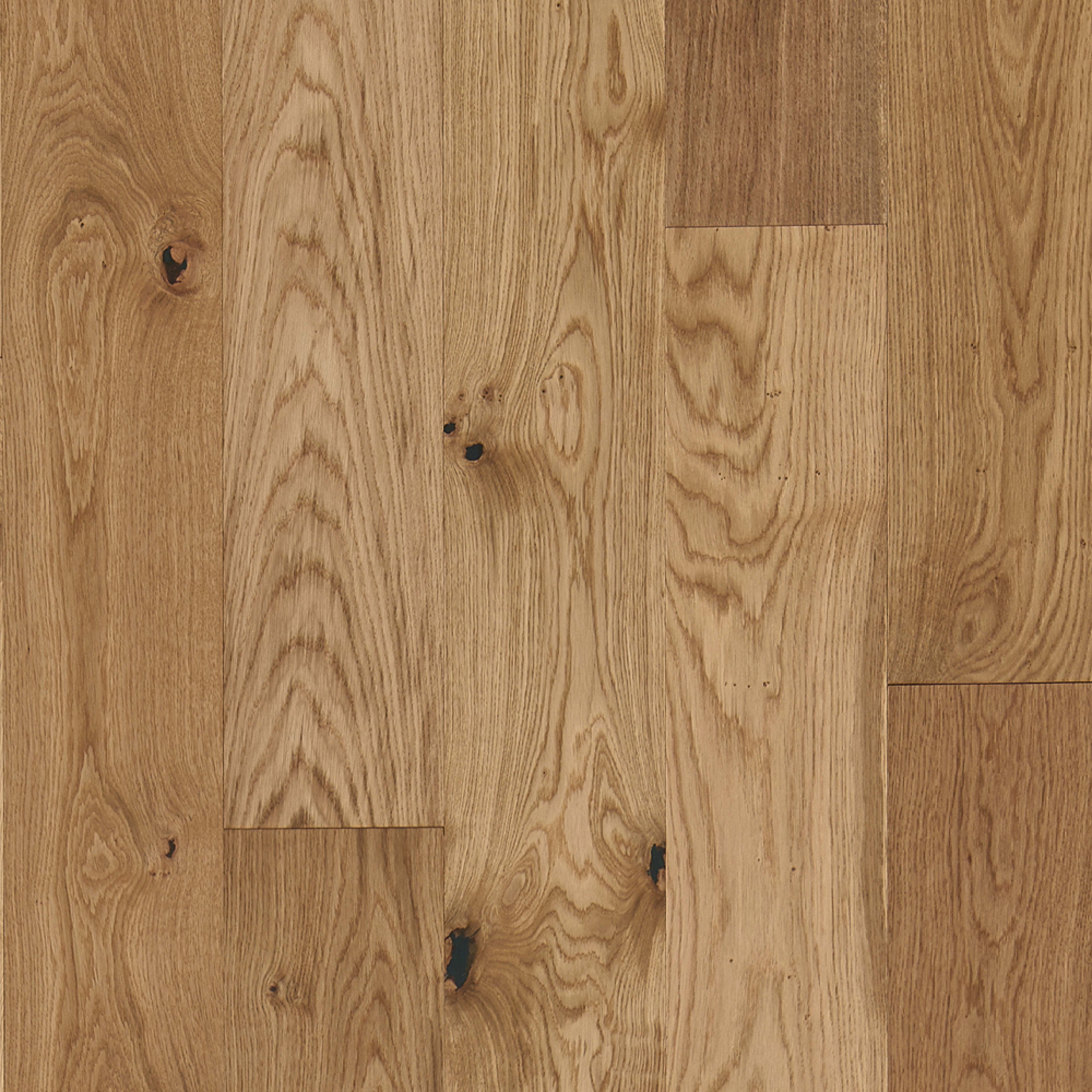 Latitude Collection - Park City in Natural Hardwood