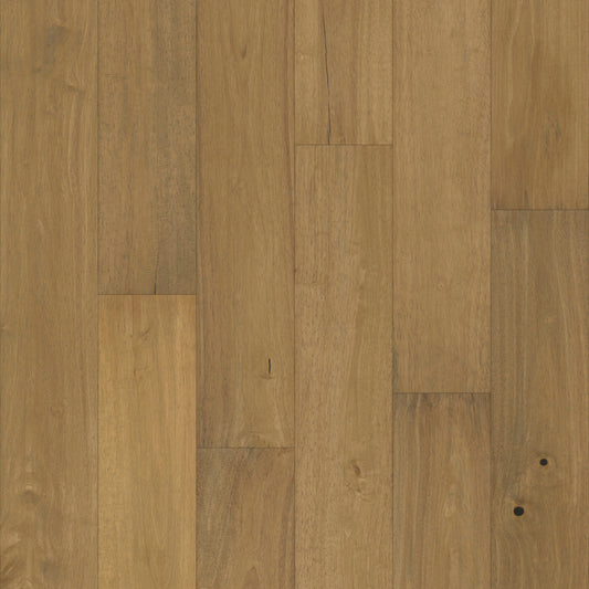 Pacific Pecan in Tabor Pecan Hardwood