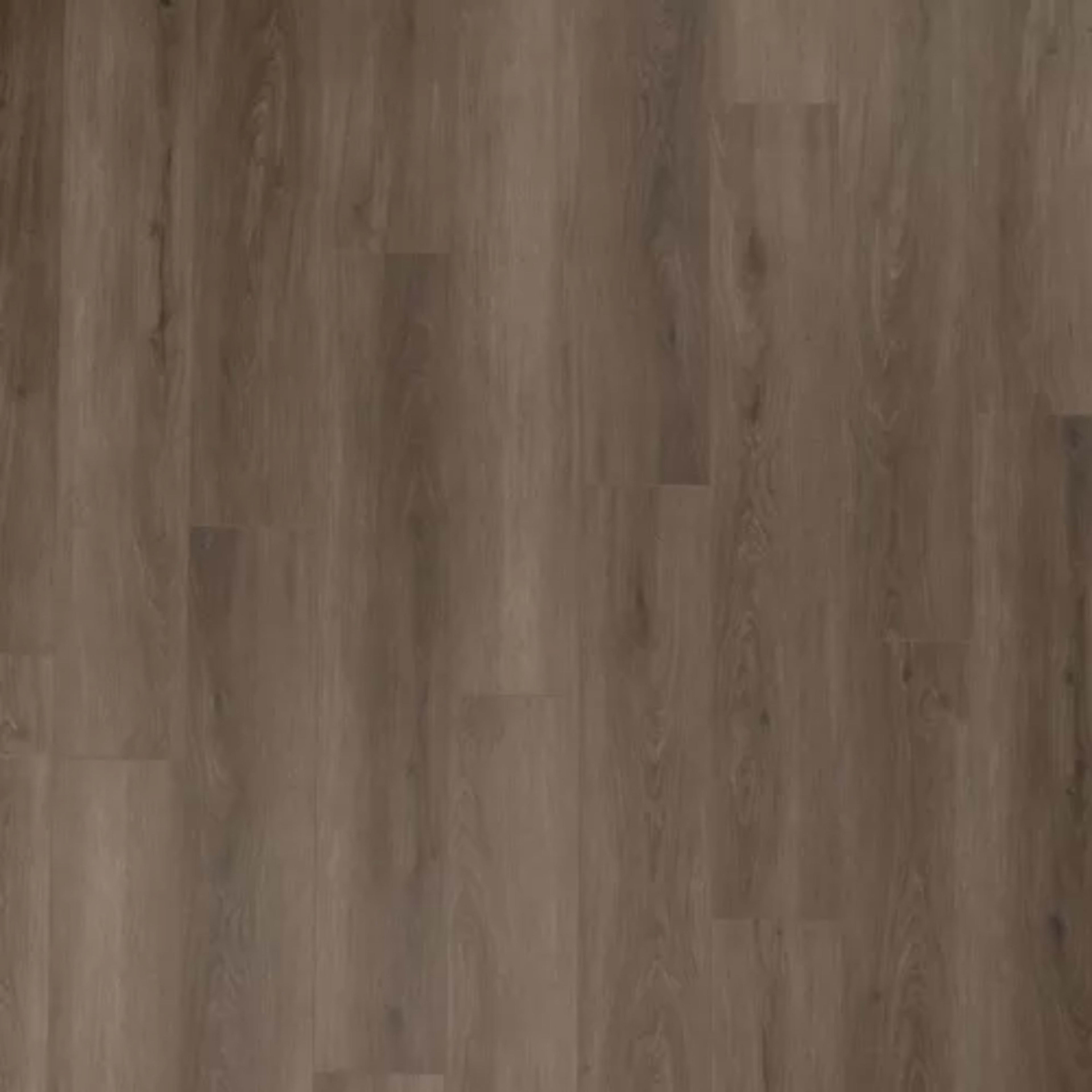 Timber Brook III in Rutledge Luxury Vinyl