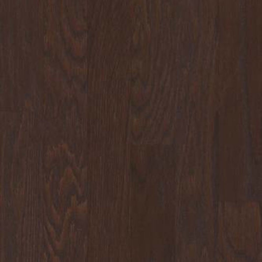 ALBRIGHT OAK 3.25 in Coffee Bean Hardwood