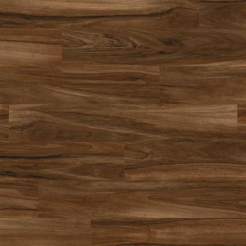 Opus in Arrado Luxury Vinyl