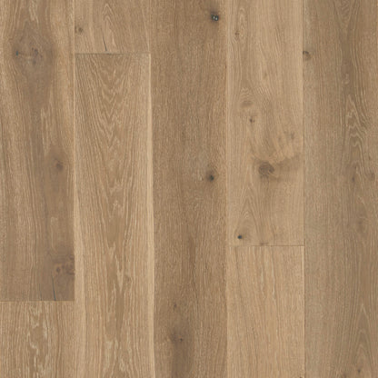 Latitude Collection - Sanctuary in Dune Hardwood